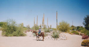 marshaandkandicactus.jpg