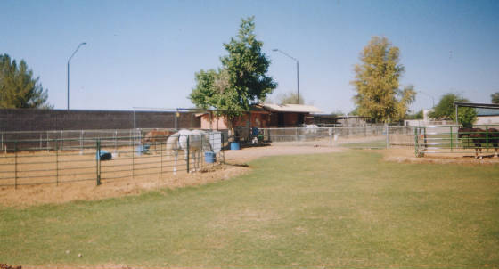 roundpenpasturemay04.jpg